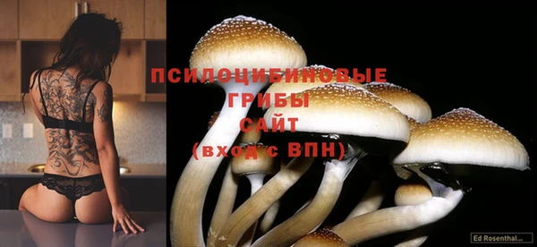 герыч Дмитриев