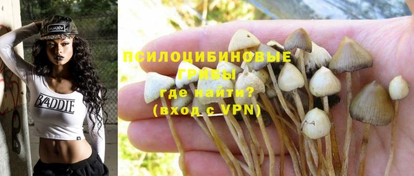 гашишное масло Дмитровск