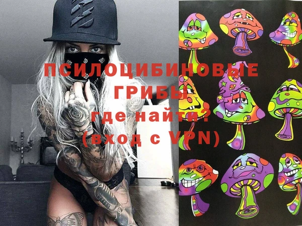 гашишное масло Дмитровск